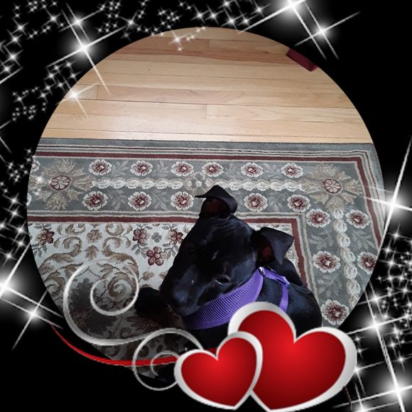 Meet your Posher, Jessica - Picture 1 of 1